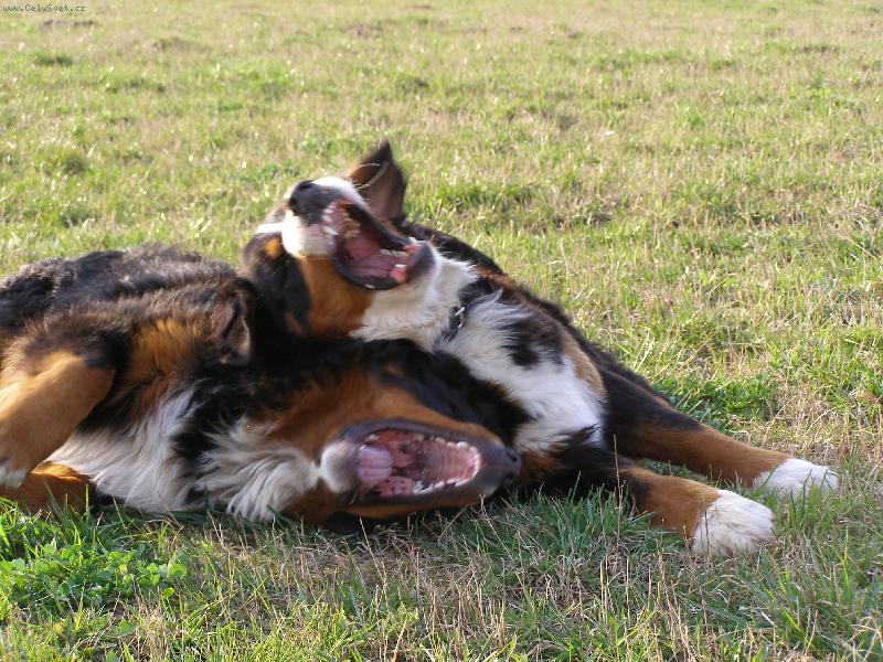 Foto: Sm�ch-Sm�ch