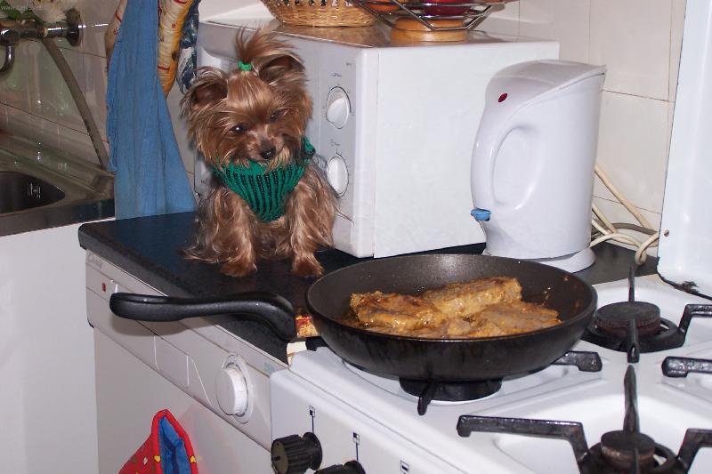 Foto: p��rodn� ��zek-p�kna v�n�