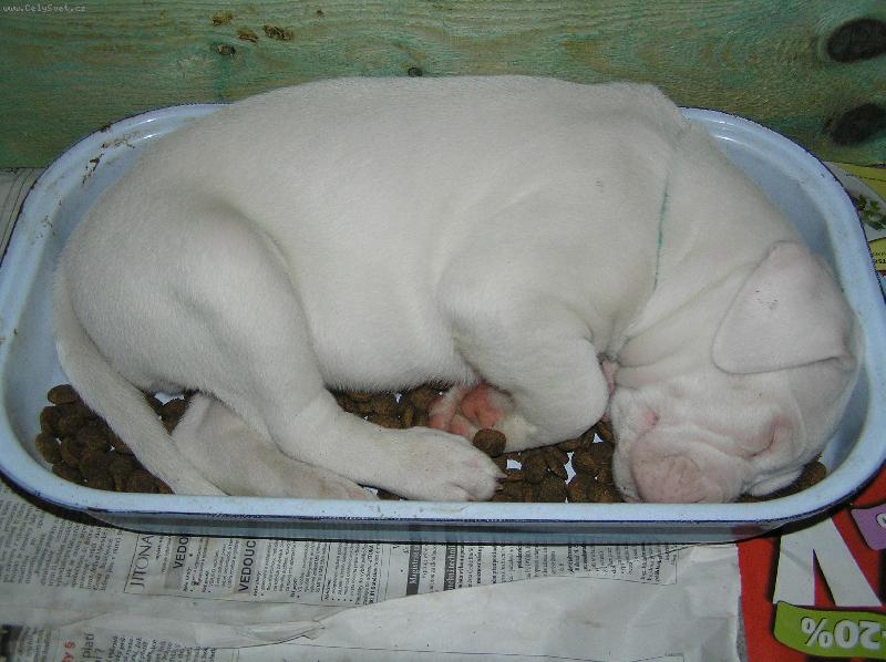 Foto: takhle mi to u� nikdo nesn� :-)