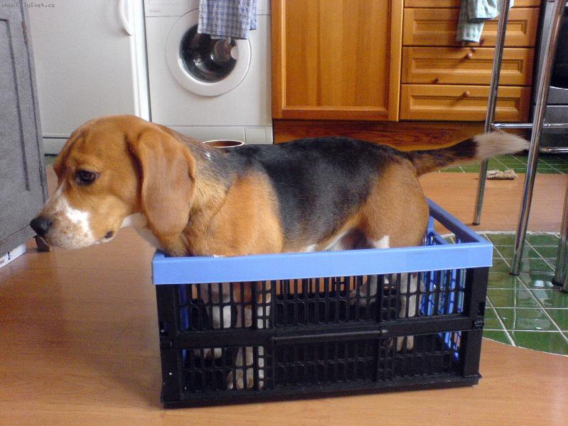 Foto: Eda-...sakra, je�t� ned�vno jsem si sem pohodln� lehnul ...