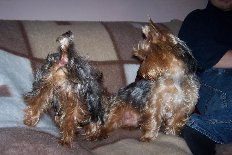 Foto: sezn�men�-kluk nebo holka