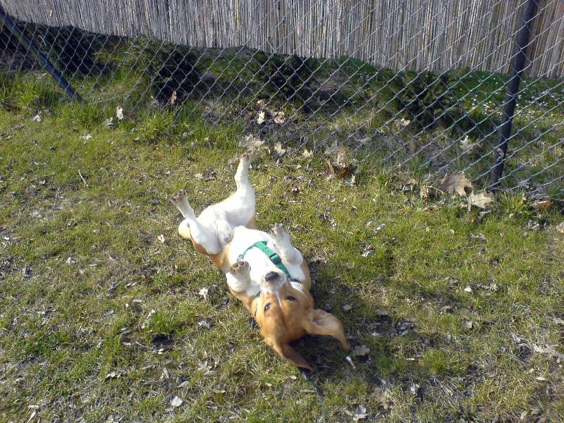 Foto: Eda-pohodi�ka