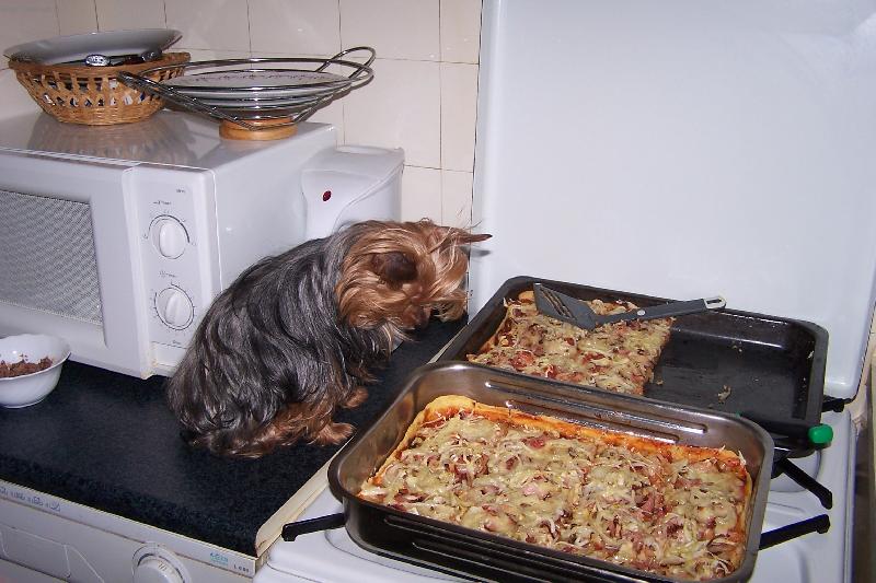 Foto: pizza-to teda von�!