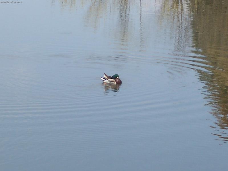 Foto: o�ista na Labi