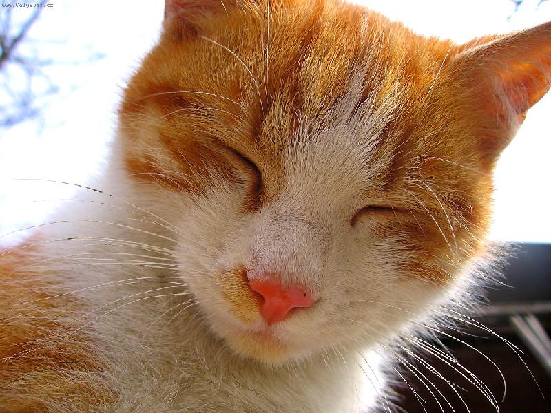 Foto: u�in�n� and�lek!