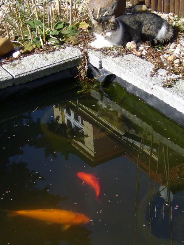 Foto: Ferda na lovu-Na�t�st� je l�n� a st�le nasycen�