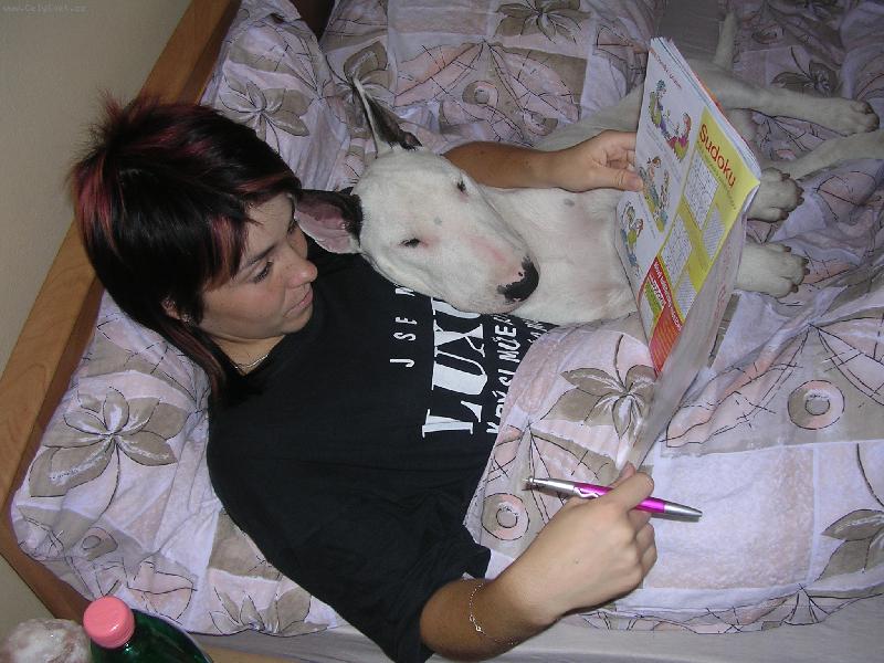 Foto: ve�ern� siesta-ve�ern� siesta