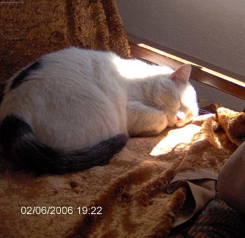 Foto: Jajda-od Vojt� u Po�ty