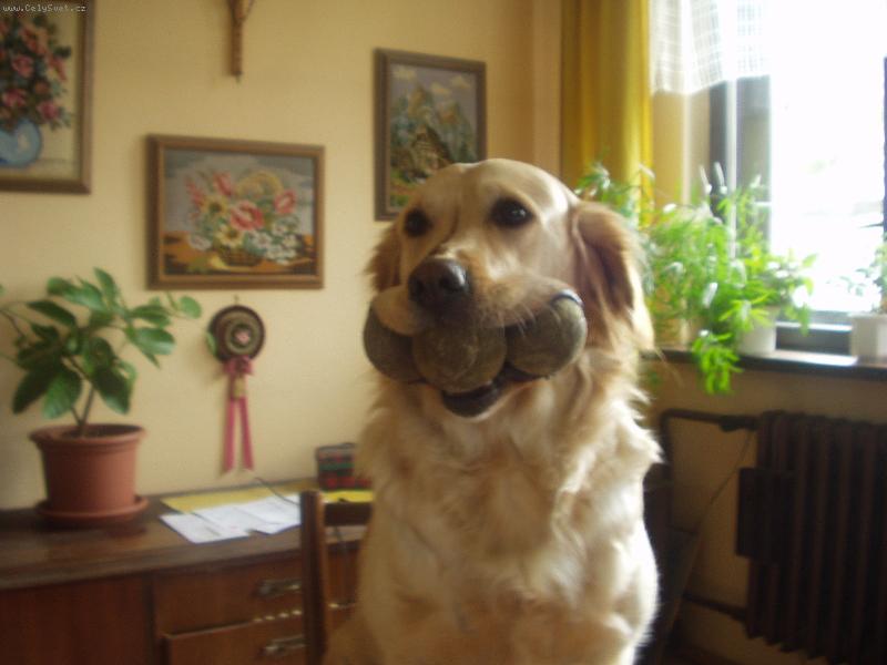 Foto: Kam j� si je jen schov�m ???