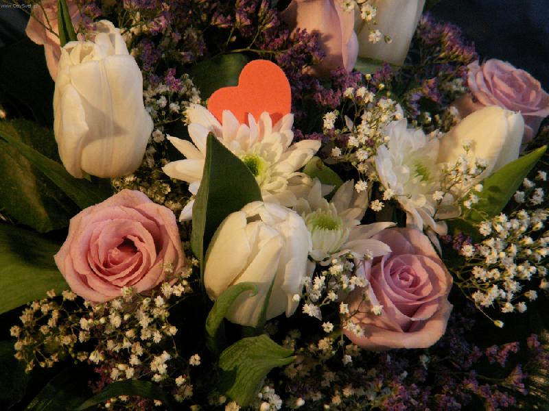 Foto: n�n� kv�tinka-ud�l�m radost?