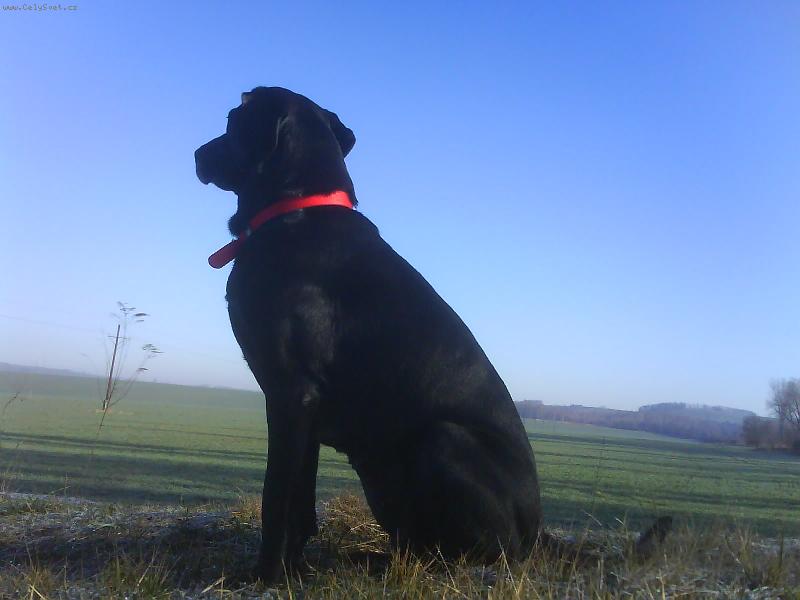 Foto: Sany pozoruje krajinu