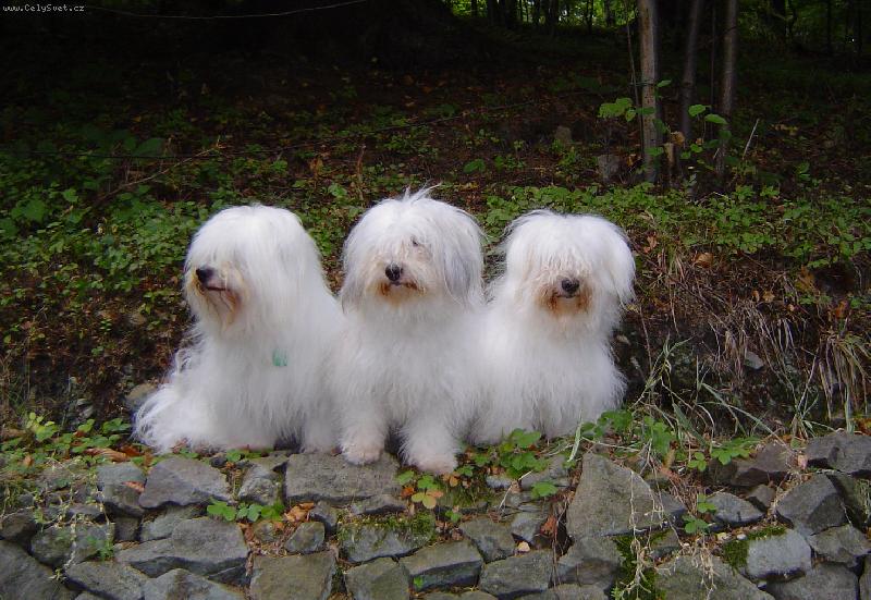 Foto: Matka s dcerou a synem-Po speci�ln� v�stav�