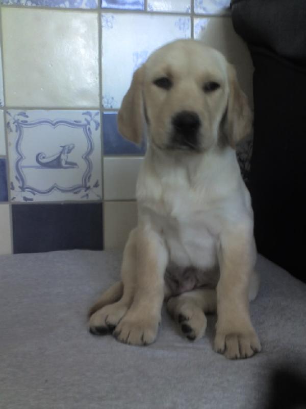 Foto: Uz zase fotak...no tak jo...