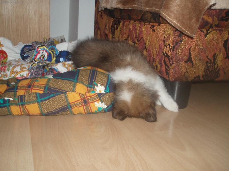 Foto: B���c!-Au!