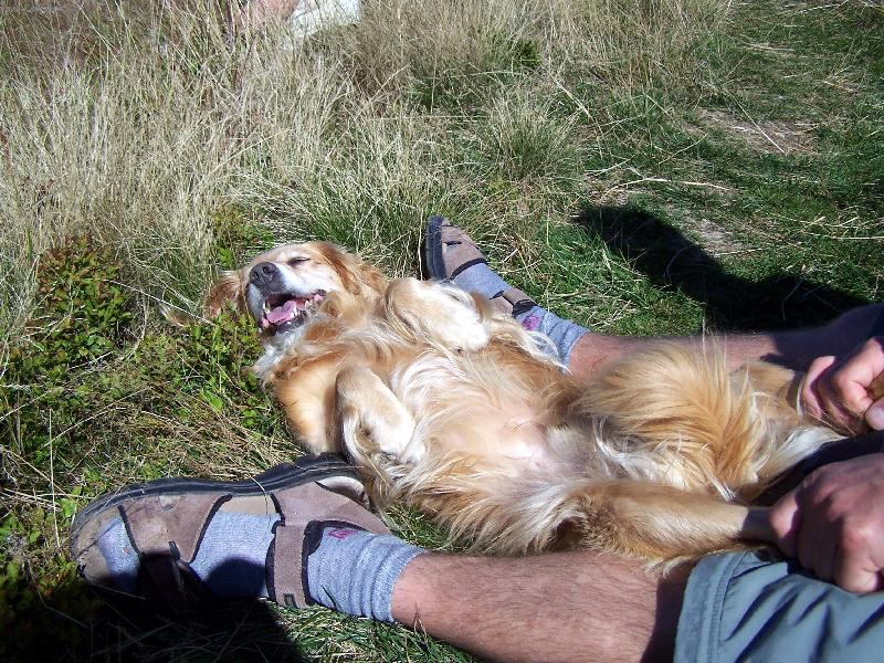 Foto: sm�ska jm�nem Bingo-D�lejte si se mnou co chcete