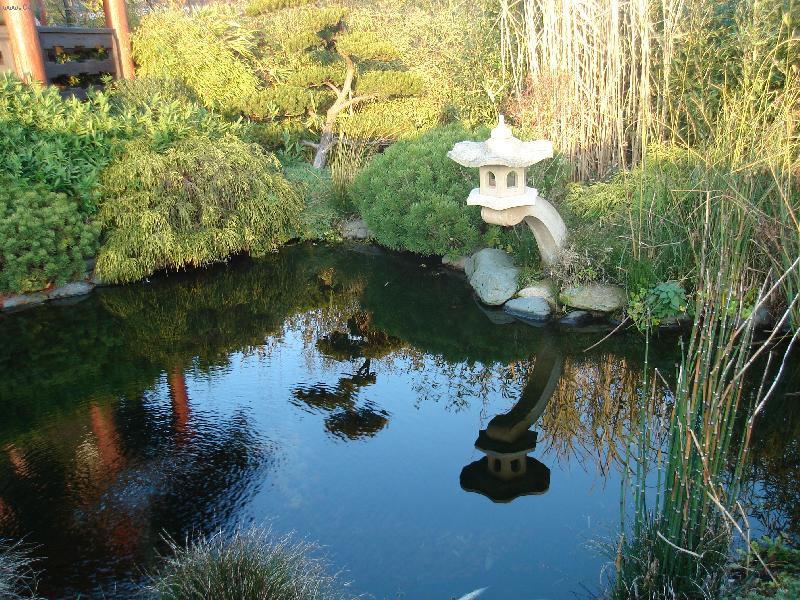 Foto: Japonsk� centrum 2