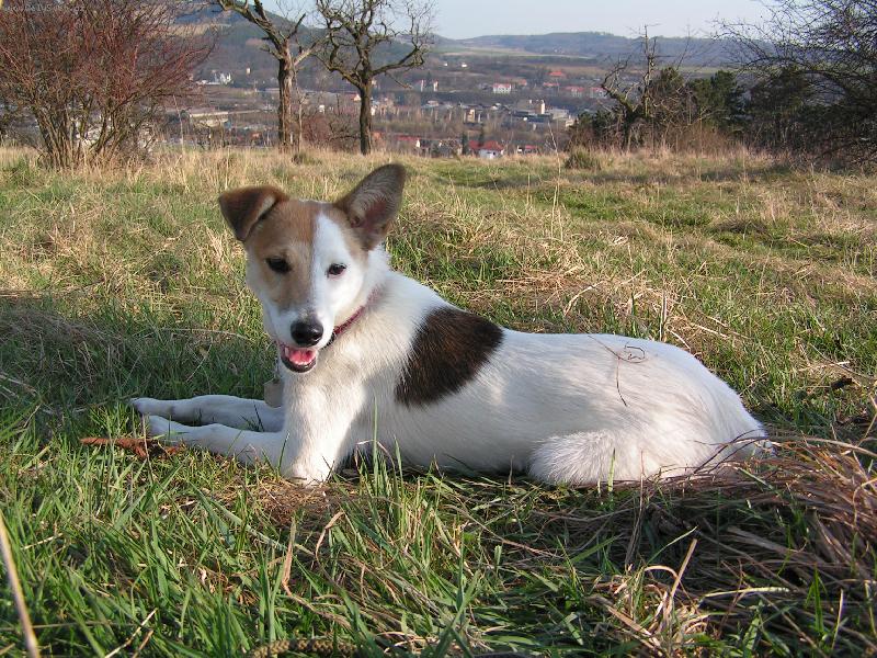 Foto: Besinka-Na�e nejmilej�� pouli�n� sm�s