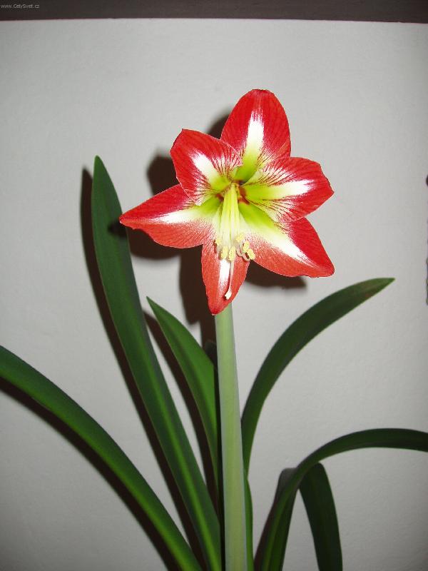 Foto: m� nejkr�sn�j��