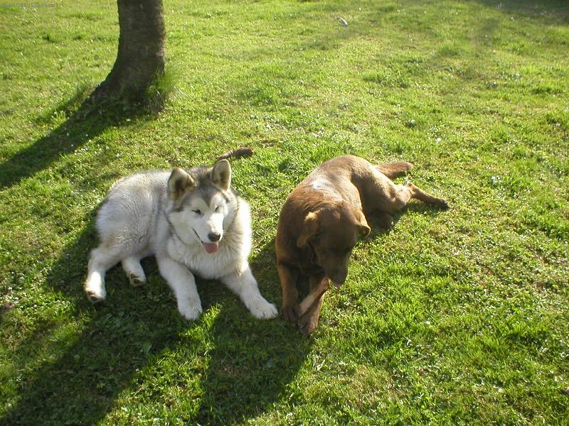 Foto: Akki a Diana-odpo�inek po divok�ch hr�ch