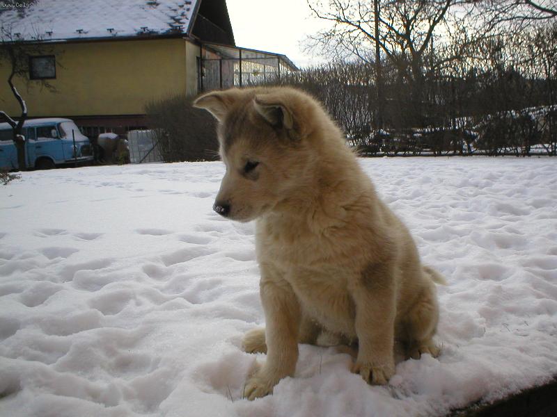 Foto: Akkinka-tak co bude zase d�l