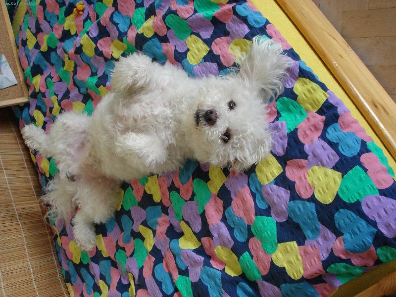 Foto: Indy-To je pohodi�ka :o)