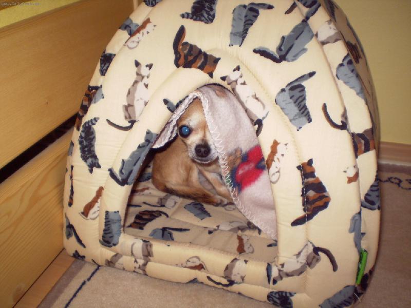 Foto: kdo m� vzbudil-Eli�ka se vzbudila :)))