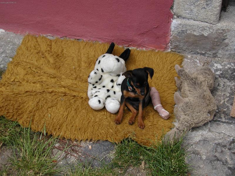 Foto:  smutn� Mat�sek-moc jsem skota�il a co te�???