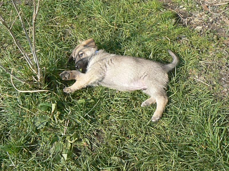 Foto: no co ukousl jsem si l�stek od kyti�ky