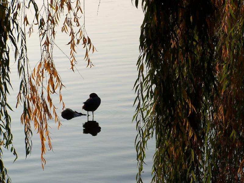 Foto: U LABE-Krok zp�t a to je v�sledek