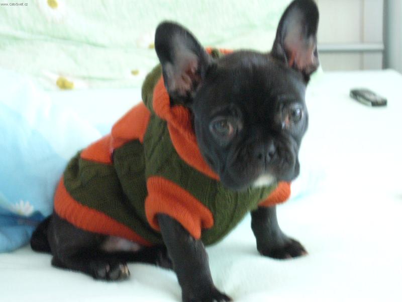 Foto: Ven�en�-Mysl�te �e v tomhle sbal�m n�jakou fenku?!?? :-)