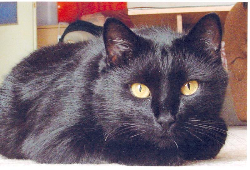 Foto: Prokop-Prokop - manek�n