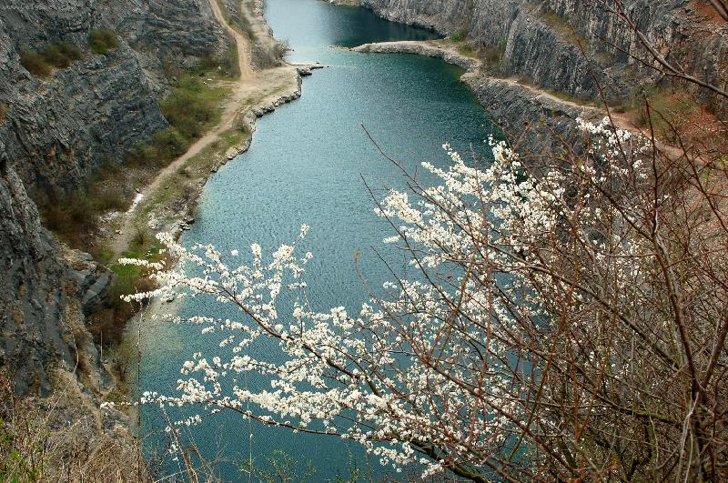 Foto: Mo�ina - Amerika