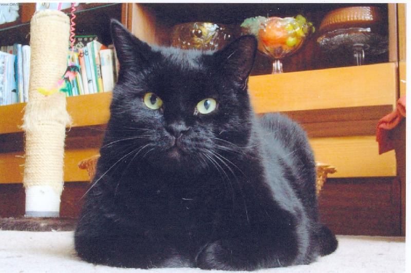 Foto: Honza-Honza - profesor