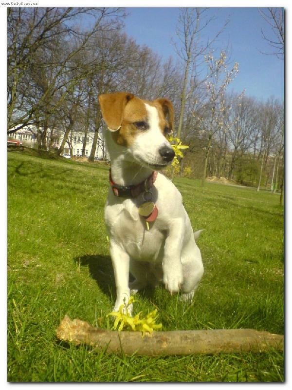 Foto: Jaro u� je tady =)-Jessynka v�t� jaro