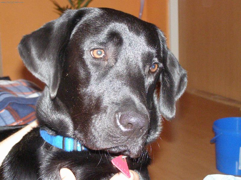 Foto: To se lesknu,co???-Jumper