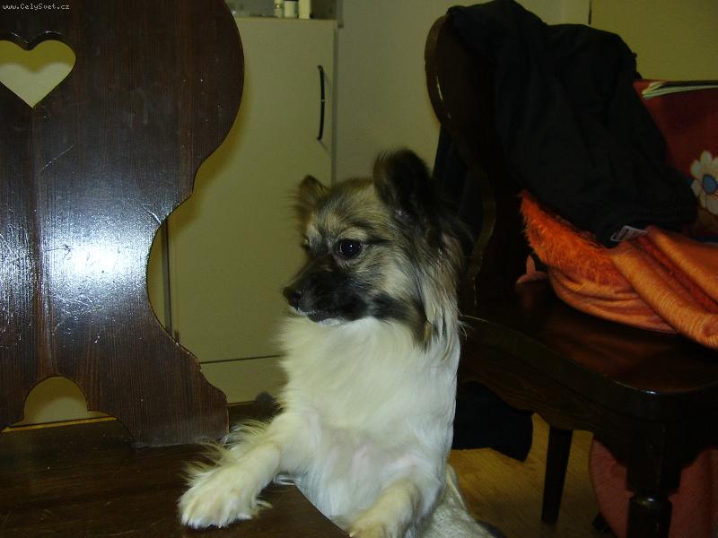 Foto: maruska-nase vzdy zvidava maruska