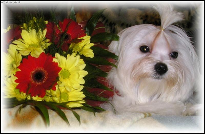 Foto: Lulda-�ulda Pleasure of friendship-4 m�s�ce :-))