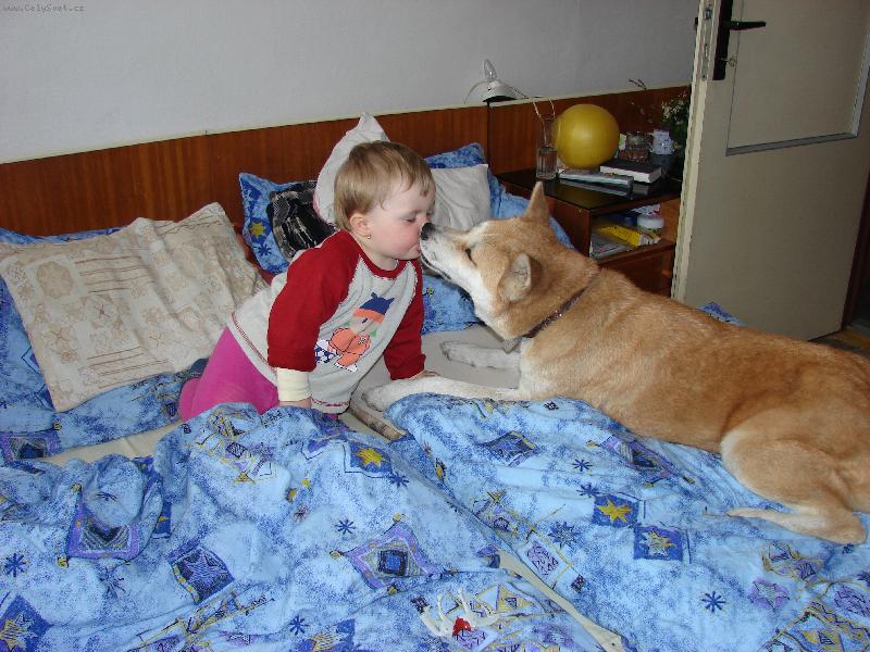 Foto: Jedna pusa je m�lo