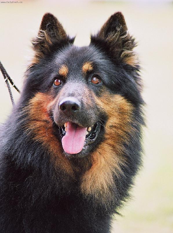 Foto: Darri Stamo Bud