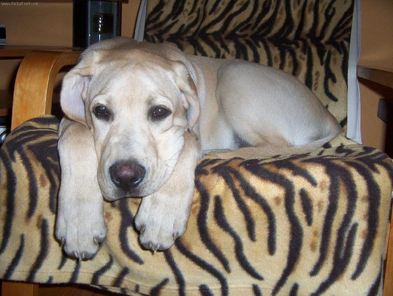 Foto: �nava-zat�m se tady je�t� vlezu.