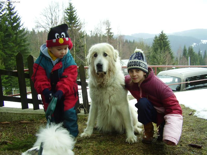 Foto: Airen v Koc�bech-�ja hl�d� horskou boudu se sv�mi mal�mi kamar�dy