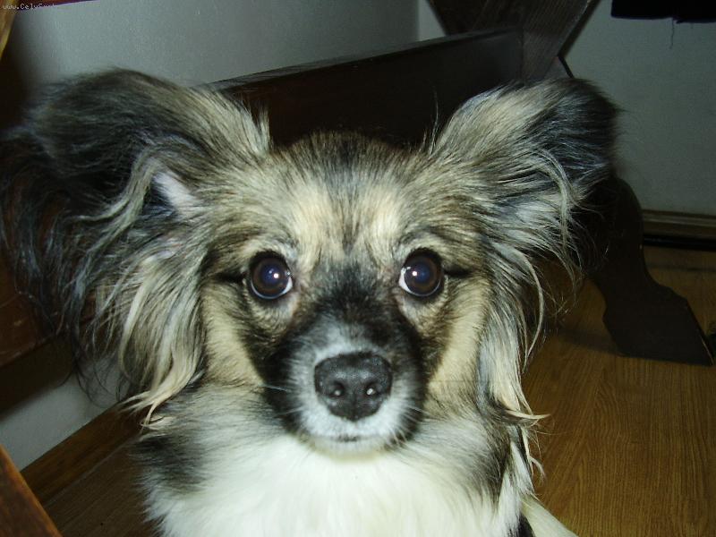 Foto: Hol�i�ka Maru�ka-Div mi o�i nevypadnou,co se to na m� d�v�?