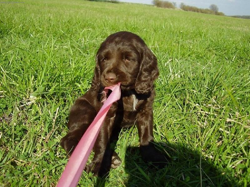 Foto: LADY-��dn� ma�le na poml�zku nebude :-)