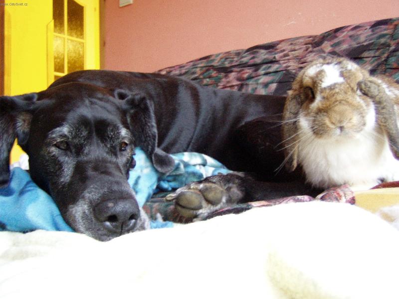 Foto: B�ra a Sam-P��telstv�