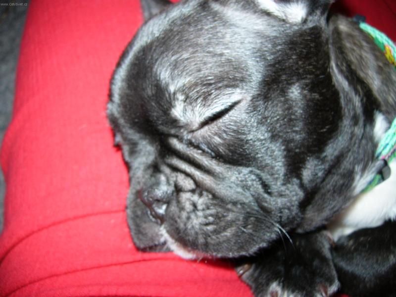 Foto: kone�n� klid