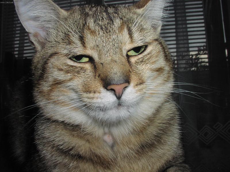 Foto: Co tak kouk�te?-Mal�s pofl�mu