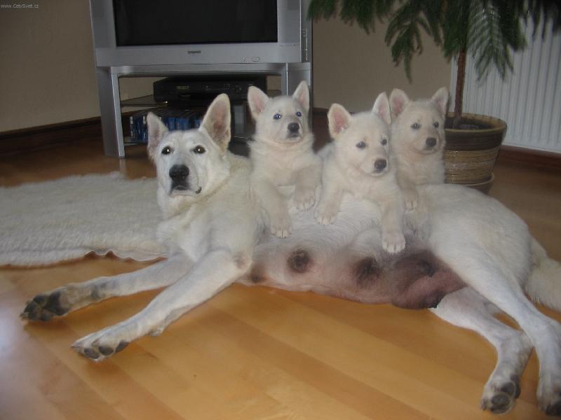 Foto: Fergie a jej� poda�en� d�ti-M�ma p�emo�ena