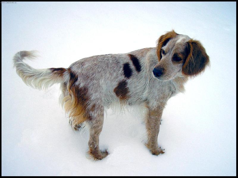 Foto: Tak honem, zase mus�m �ekat.....