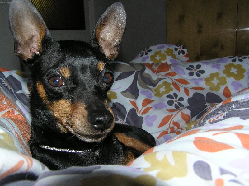 Foto: Postelov� pohoda-tady je moje stanovi�t�.