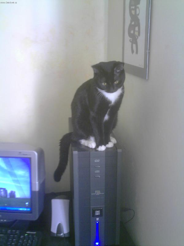 Foto: Tady vl�dnu j�! Kuba velik�.-Co je to ten ovlada�?